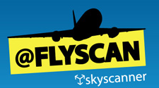 Flyscan